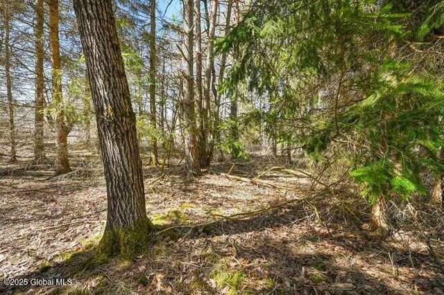 1776 County Rd 17, Oxford, NY 13830 - photo 17