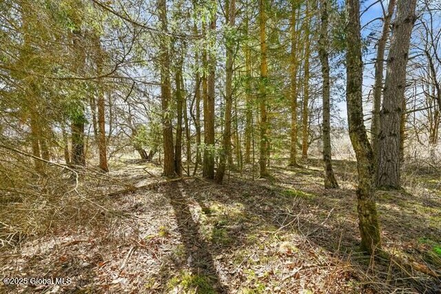 1776 County Rd 17, Oxford, NY 13830 - photo 19