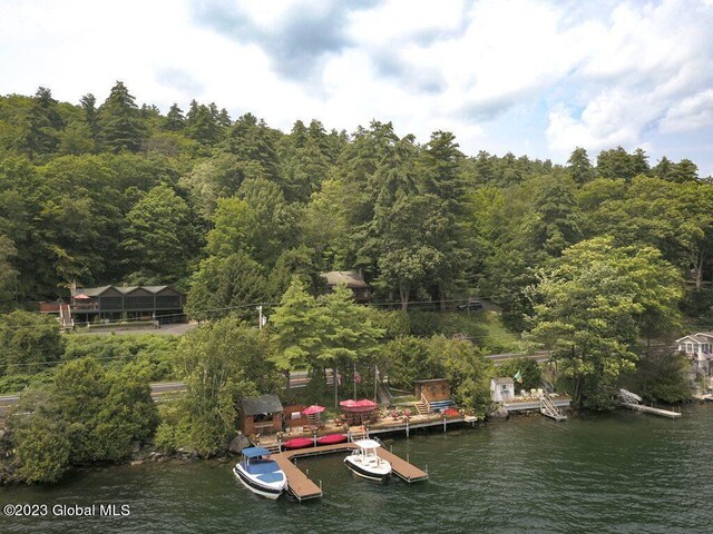 9667 Lake Shore Dr, Hague, NY 12836 - dock area with a water view and a wooded view