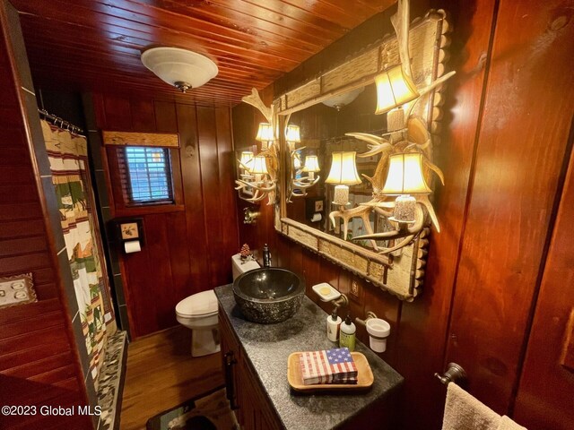 9667 Lake Shore Dr, Hague, NY 12836 - full bath featuring toilet, vanity, wooden ceiling, wooden walls, and wood finished floors