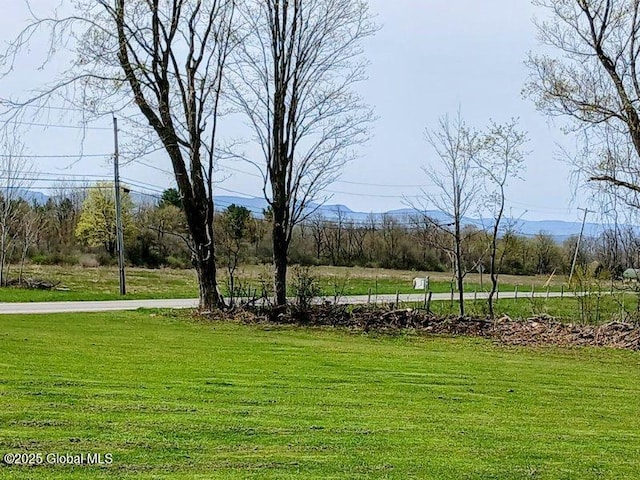 612 Oswegatchie Rd, Palatine, NY 13428 - surrounding community with a yard