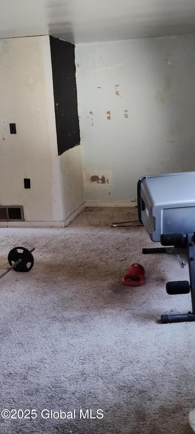 room details with carpet floors