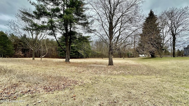 936 Kings Rd, Rotterdam, NY 12303 - view of yard
