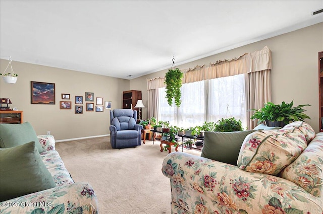 53 Harmon Rd, Glenville, NY 12302 - carpeted living room with baseboards