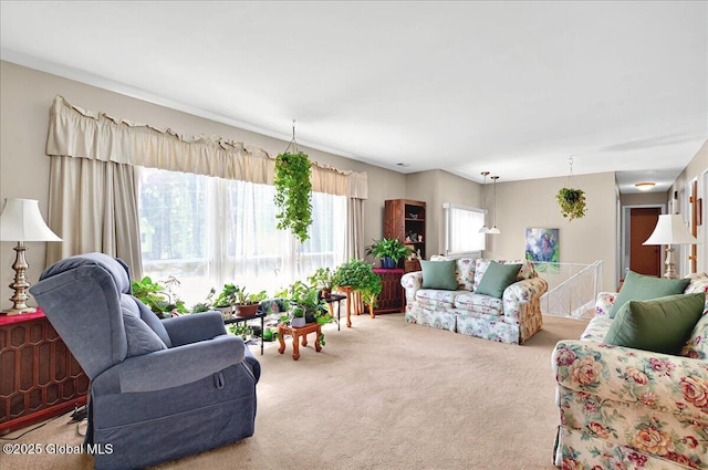 53 Harmon Rd, Glenville, NY 12302 - view of carpeted living area