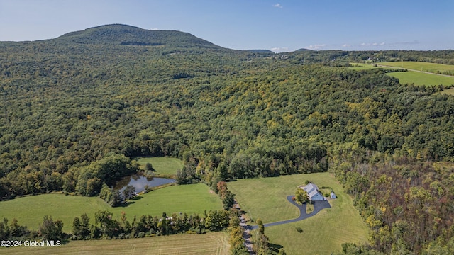 aerial view with a water and mountain view and a forest view