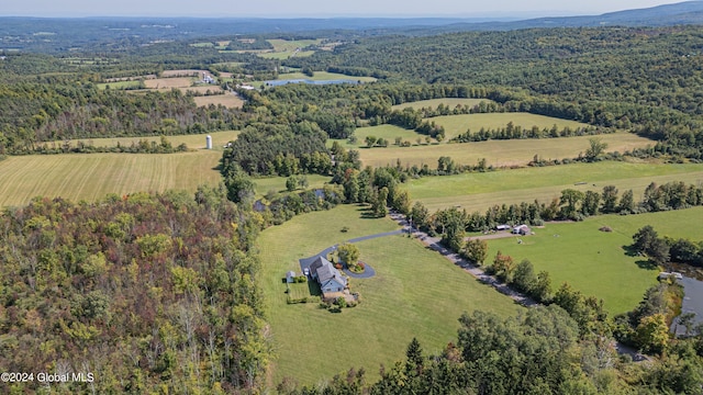 bird's eye view with a wooded view and a rural view