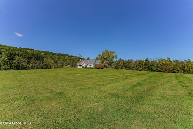 view of yard with a forest view
