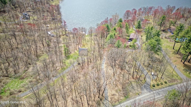 200 Summit Lake Rd, Argyle, NY 12809 - bird's eye view