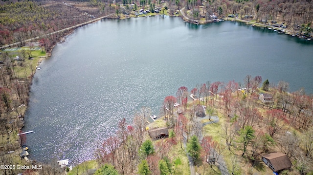 200 Summit Lake Rd, Argyle, NY 12809 - aerial view with a forest view and a water view