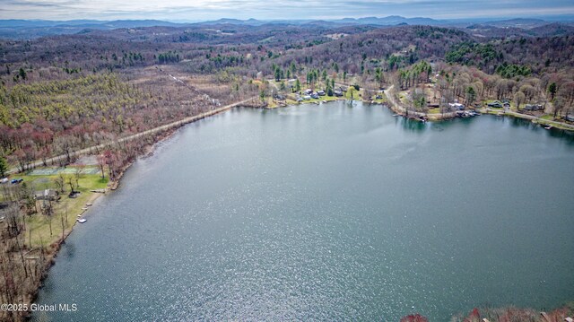 200 Summit Lake Rd, Argyle, NY 12809 - aerial view featuring a forest view and a water and mountain view