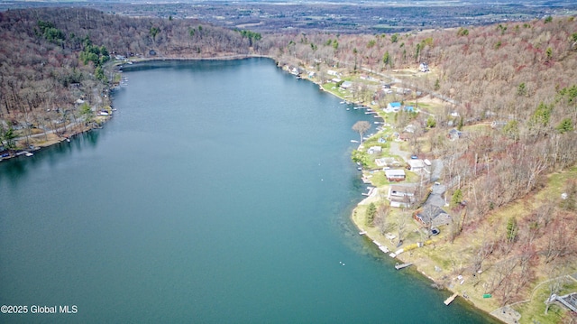 200 Summit Lake Rd, Argyle, NY 12809 - drone / aerial view featuring a water view and a wooded view