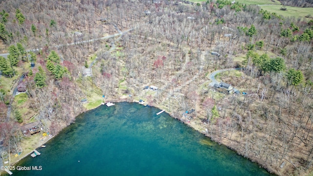 200 Summit Lake Rd, Argyle, NY 12809 - birds eye view of property with a water view