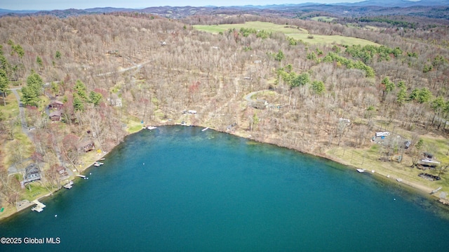 200 Summit Lake Rd, Argyle, NY 12809 - birds eye view of property with a forest view and a water and mountain view