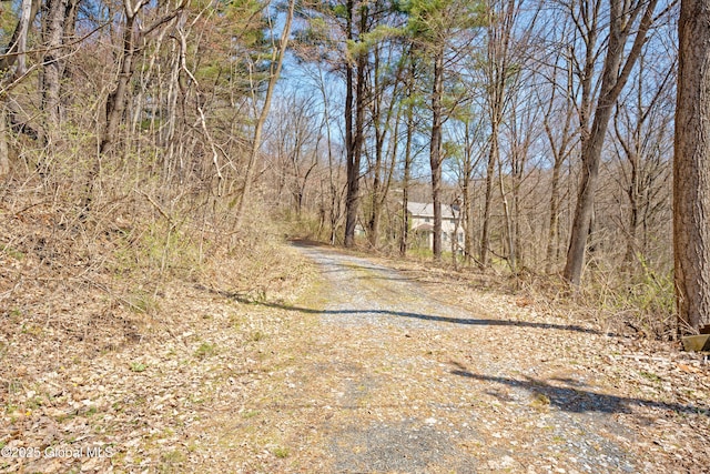 200 Summit Lake Rd, Argyle, NY 12809 - view of road featuring driveway