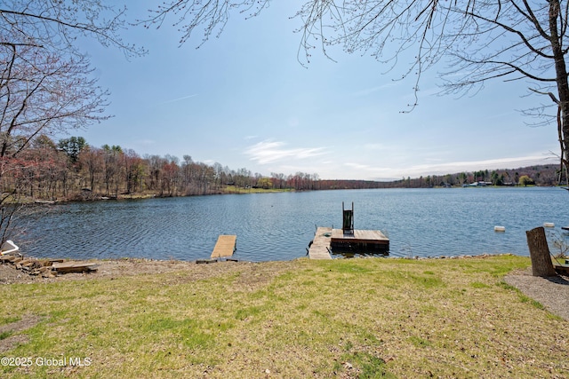 200 Summit Lake Rd, Argyle, NY 12809 - dock area with a water view