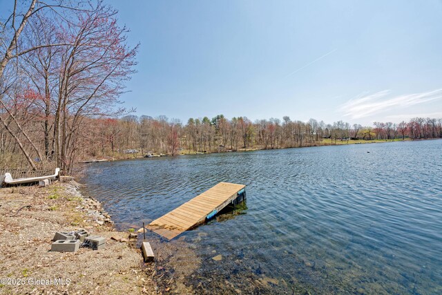 200 Summit Lake Rd, Argyle, NY 12809 - view of dock with a view of trees and a water view