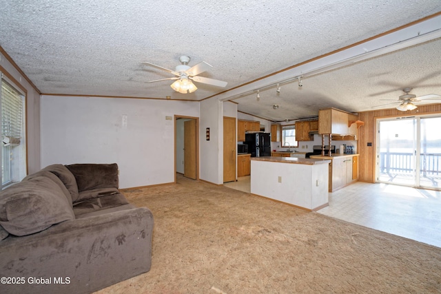 200 Summit Lake Rd, Argyle, NY 12809 - unfurnished living room featuring light colored carpet, baseboards, a ceiling fan, and a textured ceiling