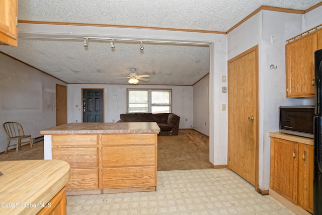 200 Summit Lake Rd, Argyle, NY 12809 - kitchen with a ceiling fan, crown molding, a textured ceiling, black microwave, and light colored carpet