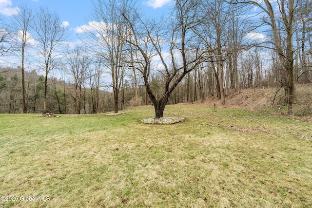 1016 Langley Rd, Florida, NY 12010 - photo 4