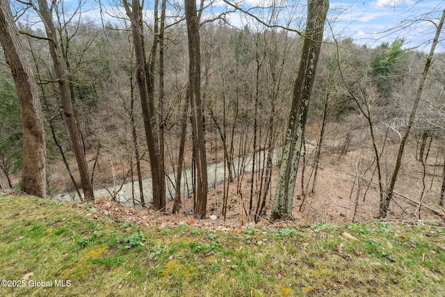 1016 Langley Rd, Florida, NY 12010 - photo 19