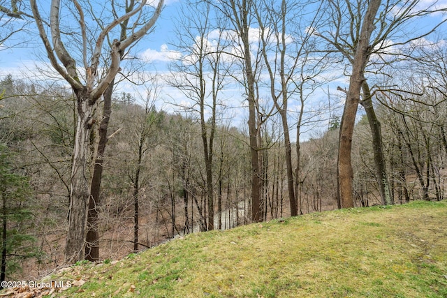 1016 Langley Rd, Florida, NY 12010 - photo 20