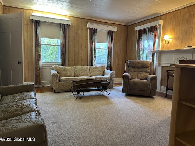 living area featuring plenty of natural light, wood walls, and wood finished floors