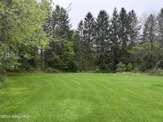 view of green lawn