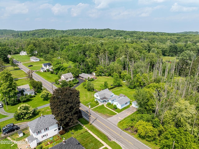 65 N Main St, Voorheesville, NY 12186 - aerial view of a forest