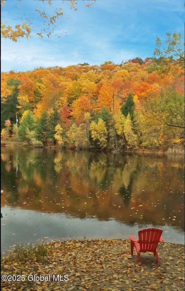 340-360 Plank Rd, Greenfield, NY 12859 - photo 40