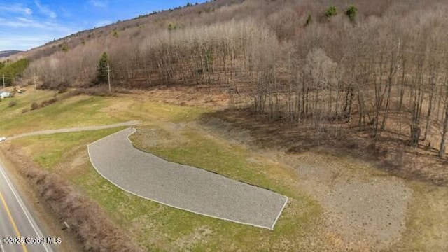 L61.12 County Rd 32, North Norwich, NY 13814