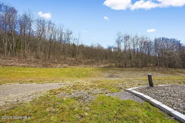 L61.12 County Rd 32, North Norwich, NY 13814