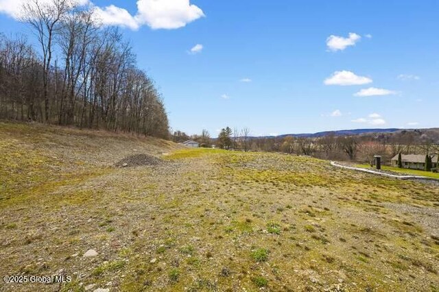 L61.12 County Rd 32, North Norwich, NY 13814