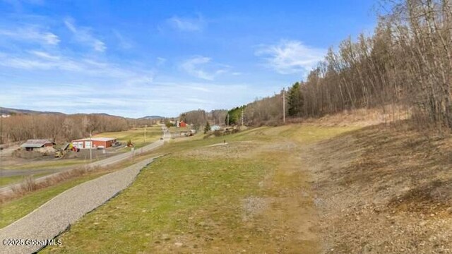 L61.12 County Rd 32, North Norwich, NY 13814