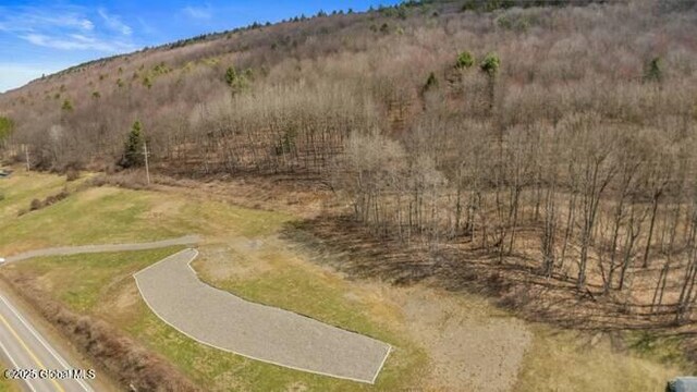 L61.12 County Rd 32, North Norwich, NY 13814