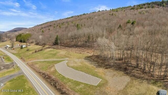 L61.12 County Rd 32, North Norwich, NY 13814
