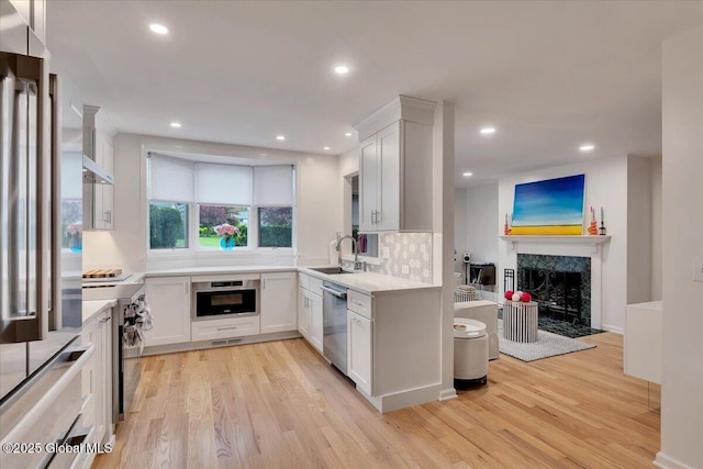 101 Kaydeross Park Rd, Saratoga Springs, Outside, NY 12866 - kitchen featuring high quality appliances, a sink, light wood-type flooring, light countertops, and a premium fireplace