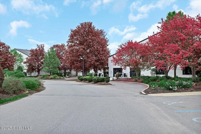 101 Kaydeross Park Rd, Saratoga Springs, Outside, NY 12866 - view of asphalt street with street lights