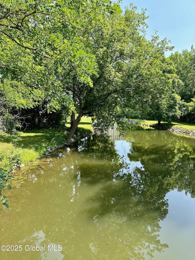 view of water feature