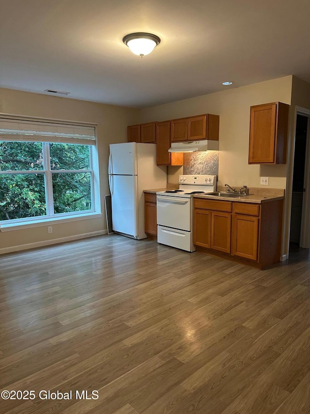 kitchen featuring brown cabinets, under cabinet range hood, light wood finished floors, and white appliances