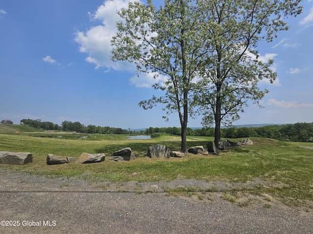 301 Lape Rd, Charleston, NY 12066 - surrounding community with a water view