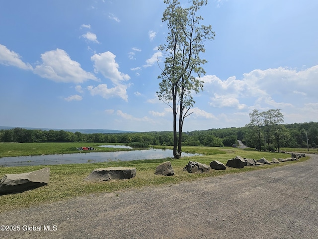 301 Lape Rd, Charleston, NY 12066 - view of yard featuring a water view