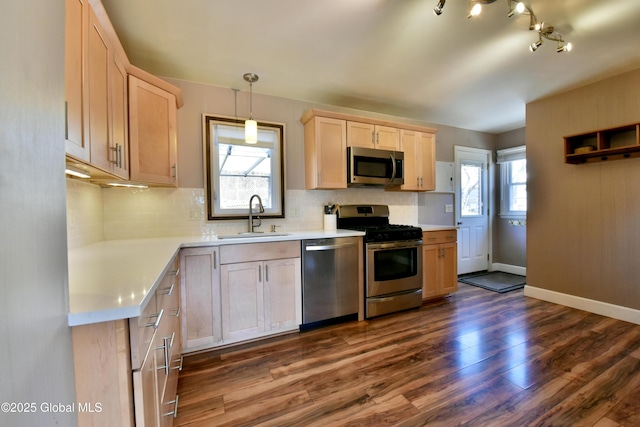 kitchen with a sink, appliances with stainless steel finishes, light brown cabinetry, and a wealth of natural light