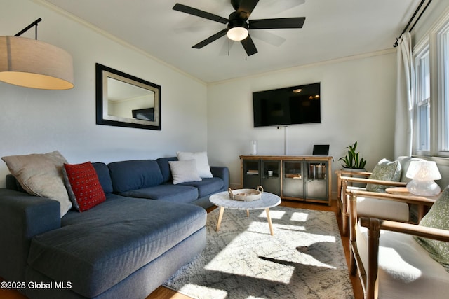 living area featuring ceiling fan, ornamental molding, and wood finished floors