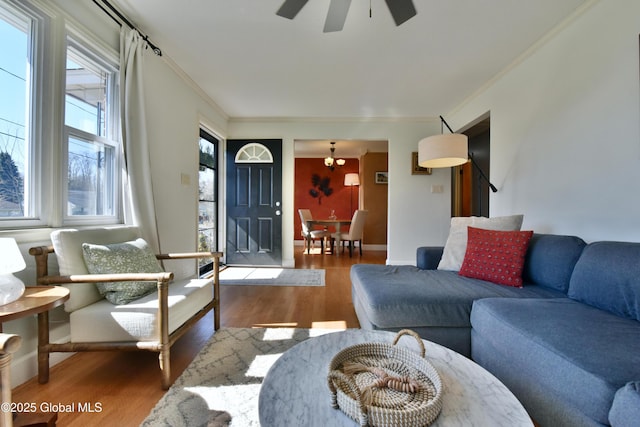 living area with crown molding, a ceiling fan, and wood finished floors