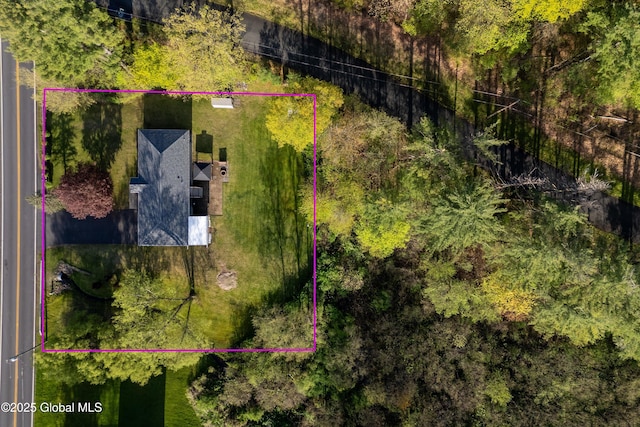 92 Vosburgh Rd, Halfmoon, NY 12118 - aerial overview of property's location featuring property boundaries highlighted