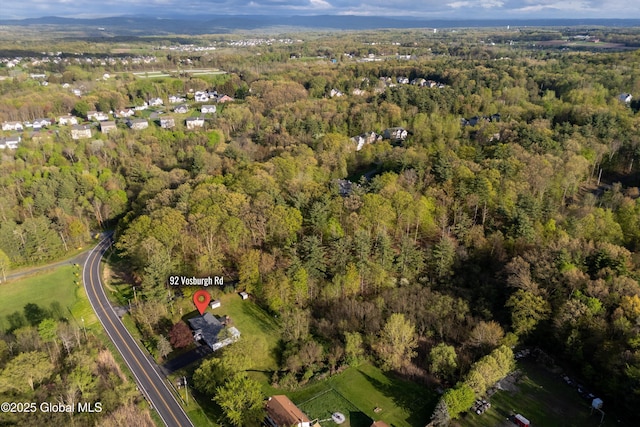 92 Vosburgh Rd, Halfmoon, NY 12118 - aerial overview of property's location featuring a heavily wooded area