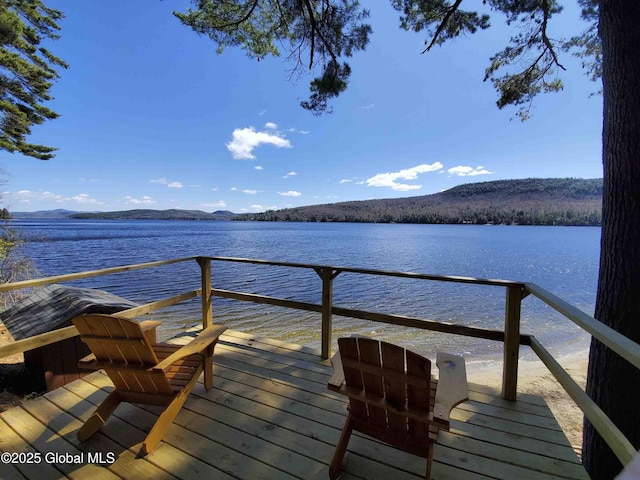 3 Alburnorm, Schroon Lake, NY 12870 - photo 42