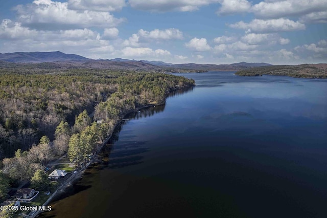 3 Alburnorm, Schroon Lake, NY 12870 - photo 47