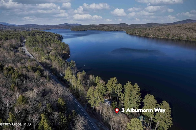 3 Alburnorm, Schroon Lake, NY 12870 - photo 9